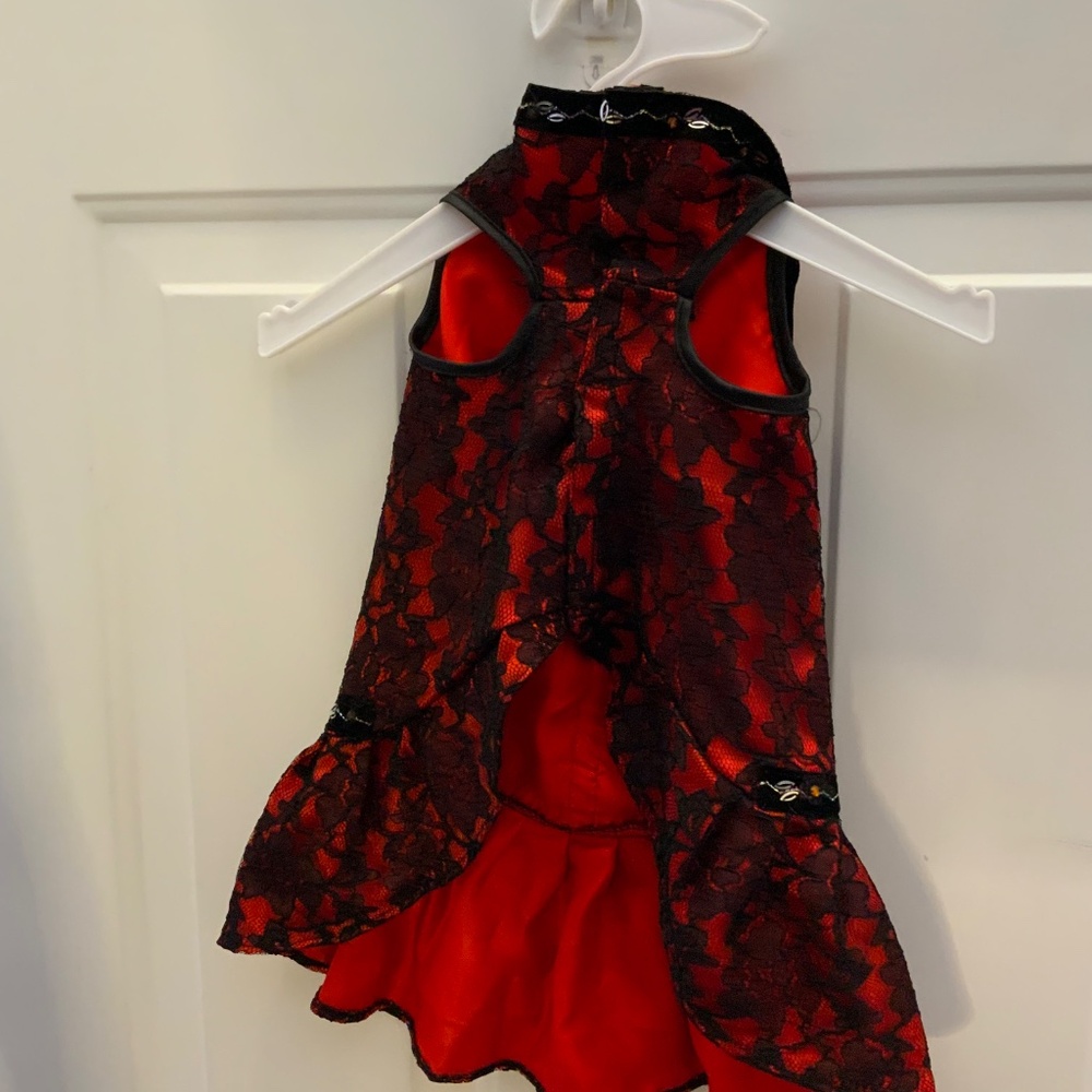 Zack & Zoey Dog Clothes - Picture 3 of 5